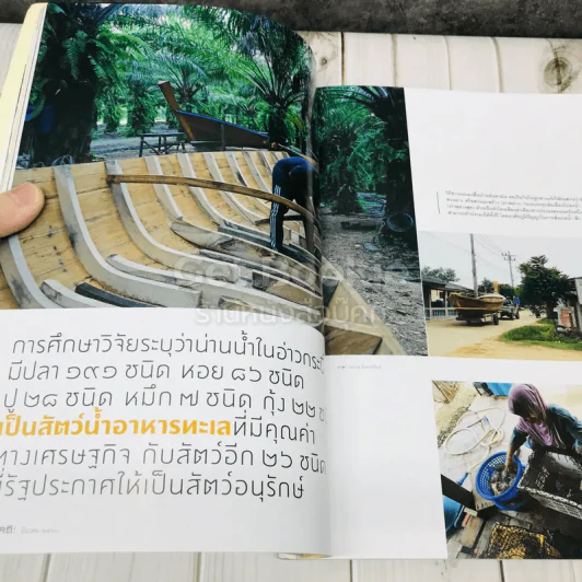 Feature Magazine สารคดี ฉบับที่ 385 เอาถ่านไหม รูปที่ 9