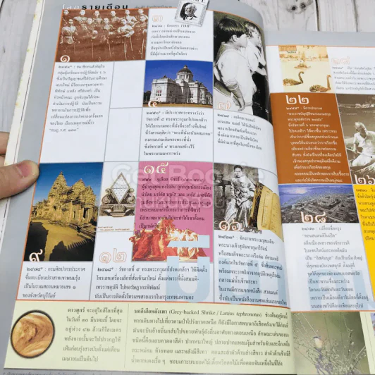 Feature Magazine สารคดี ฉบับที่ 193 เมืองโบราณ ฝันอันยิ่งใหญ่ของชายชื่อเล็ก รูปที่ 6