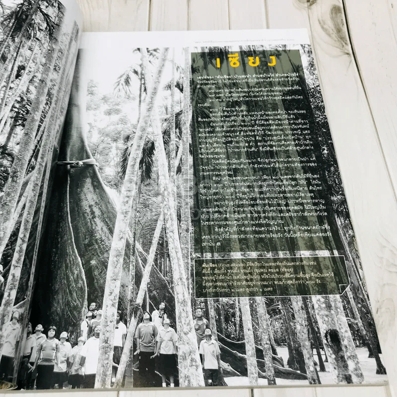 Feature Magazine สารคดี ฉบับที่ 373 ปีที่ 32 สิบเส้นทางสุดฮิป รูปที่ 6