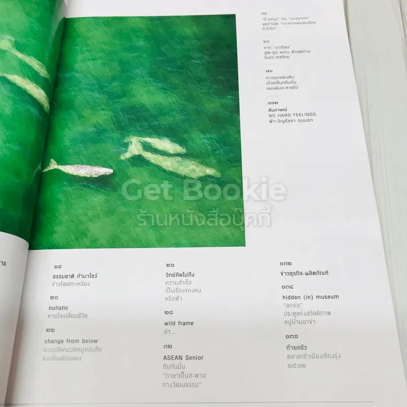 Feature Magazine สารคดี ฉบับที่ 515 มาเรียม สู่พะยูน 250 ตัวสุดท้ายในประเทศไทย รูปที่ 6