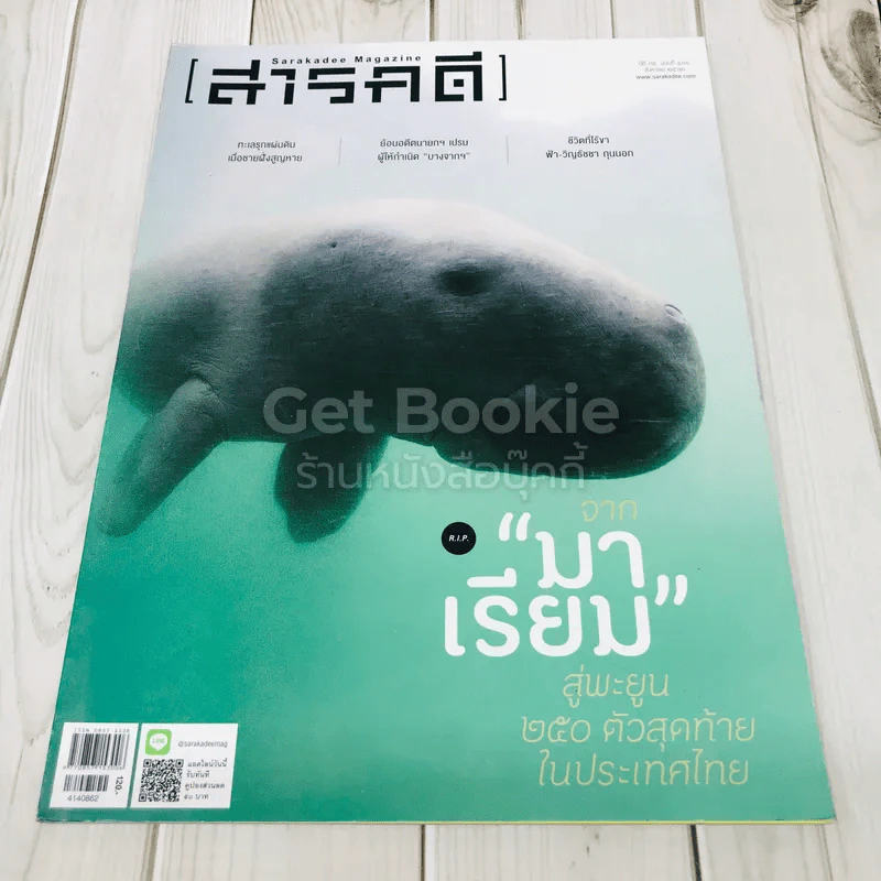 Feature Magazine สารคดี ฉบับที่ 515 มาเรียม สู่พะยูน 250 ตัวสุดท้ายในประเทศไทย รูปที่ 1