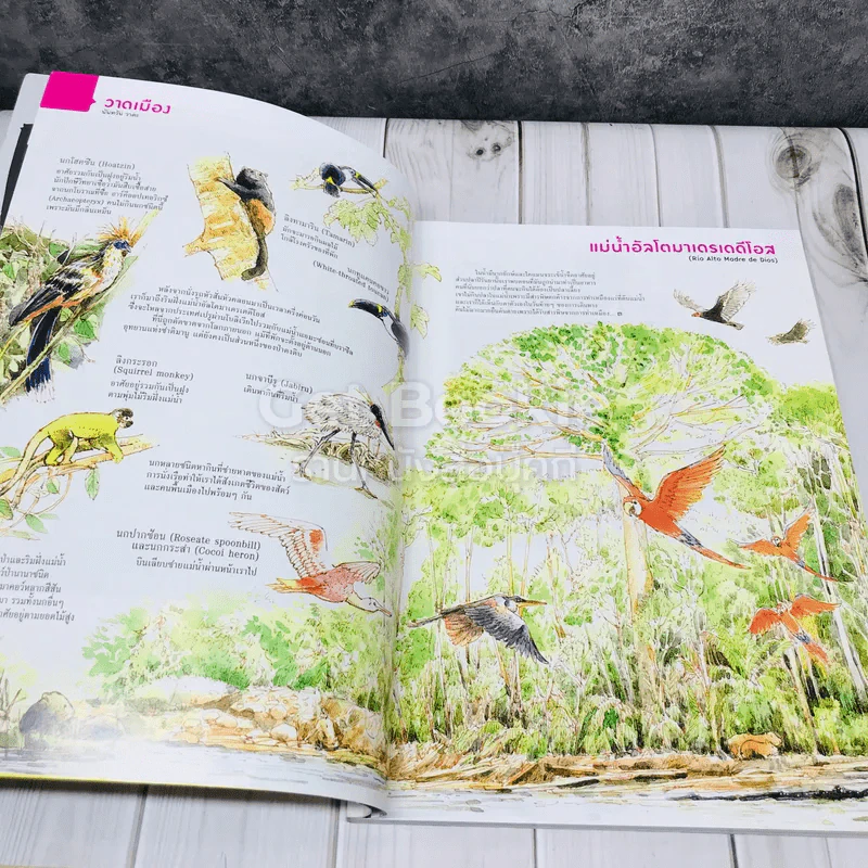Feature Magazine สารคดี ฉบับที่ 379 เจนฉันมันไม่ง่าย รูปที่ 4