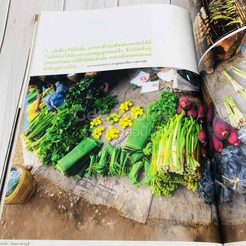Feature Magazine สารคดี ฉบับที่ 287 พริก เผ็ด สวย ดุ และมีรอยยิ้มในคราบน้ำตา รูปที่ 8
