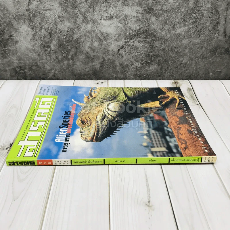 Feature Magazine สารคดี ฉบับที่ 203 AlienSpecies การรุกรานของชนิดพันธุ์ต่างถิ่น รูปที่ 2