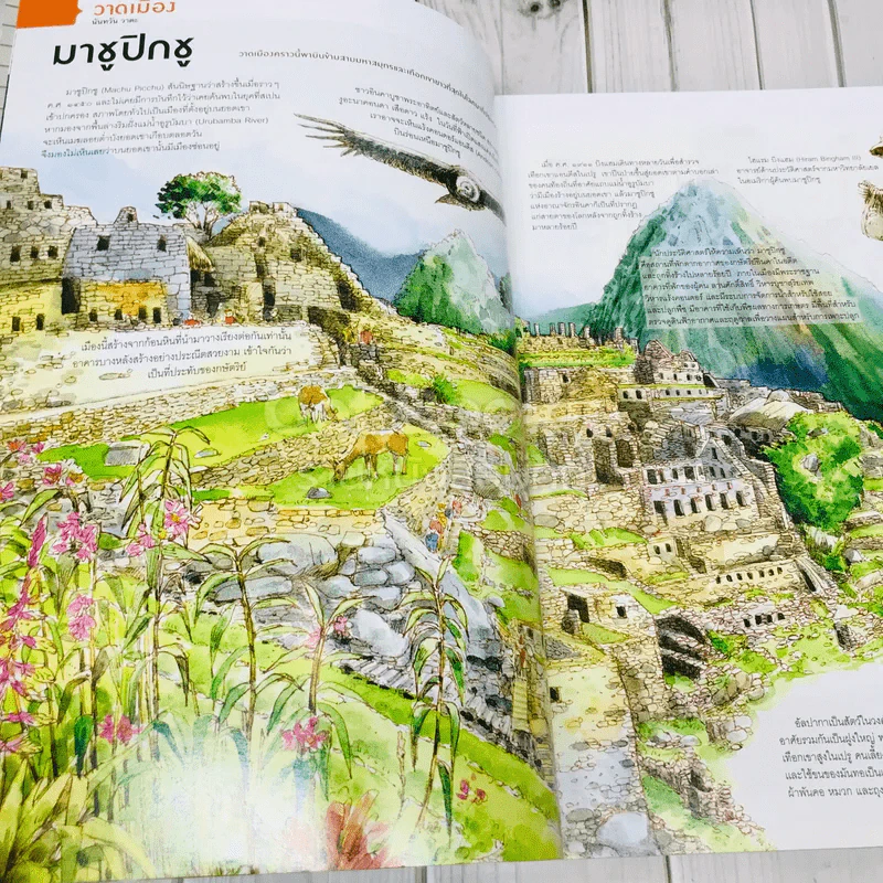 Feature Magazine สารคดี ฉบับที่ 376 การ์ตูนไทย รูปที่ 7