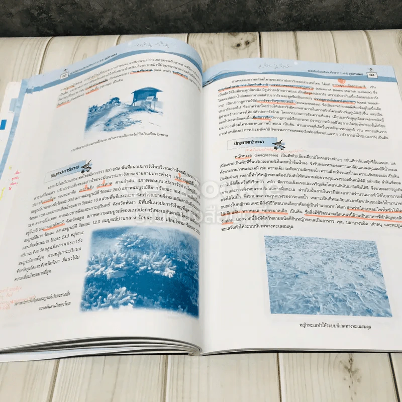 ภูมิศาสตร์ ม.4-ม.6 รูปที่ 16