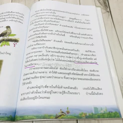 วรรณคดีลำนำ ชั้นป.3 รูปที่ 10