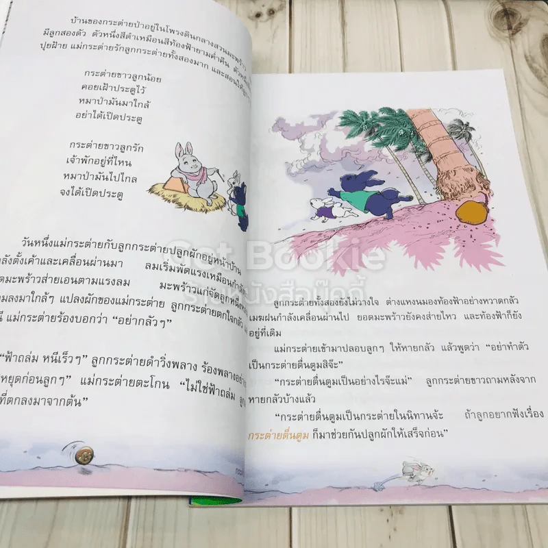 วรรณคดีลำนำ ชั้น ป.3 รูปที่ 9