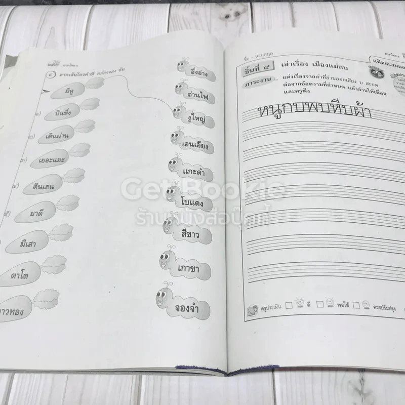 แม่บทมาตรฐาน ภาษาไทย 1 ป.1 รูปที่ 13