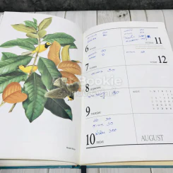 Exotic Birds Central Diary 1990 รูปที่ 8