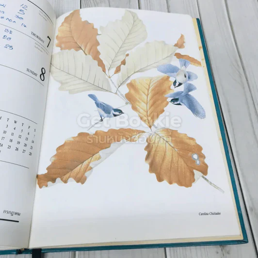Exotic Birds Central Diary 1990 รูปที่ 12