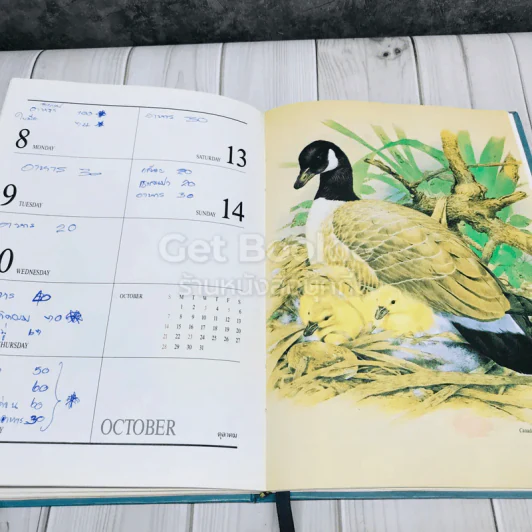 Exotic Birds Central Diary 1990 รูปที่ 9