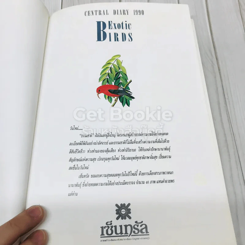 Exotic Birds Central Diary 1990 รูปที่ 13