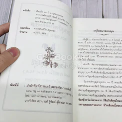 ที่ระลึกอายุวัฒนมงคลครบรอบ 60 ปี พระเทพรัตนสุธี รูปที่ 5