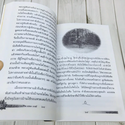 ประวัติ ประสบการณ์ชีวิต ธรรมะ บารมี หลวงปู่พัน ฐิตธัมโม รูปที่ 10