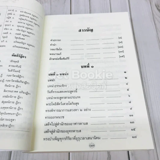 ธัมมจักกัปปวัตนสูตร รูปที่ 11