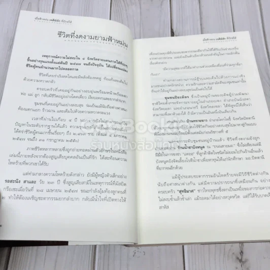 เมื่อฟ้าหม่น เจดีย์หักที่ปักษ์ใต้ รูปที่ 7
