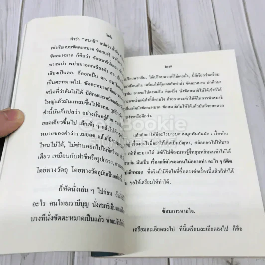 อานาปานสติ การหายใจที่ดับทุกข์ได้ รูปที่ 10