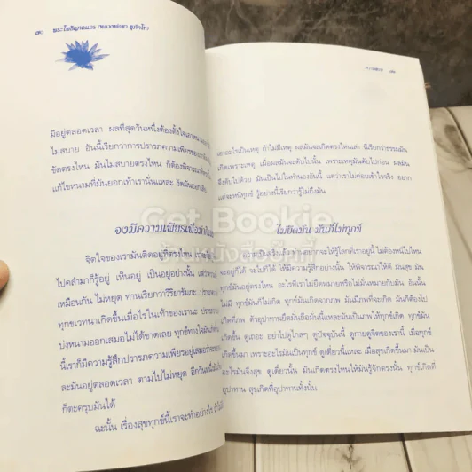 ปัจจุบันธรรม รูปที่ 11