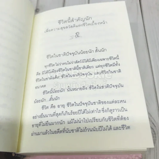 ชีวิตนี้สำคัญนัก รูปที่ 10