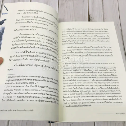 แสงน้ำและรวงข้าว รูปที่ 9