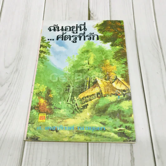 ฉันอยู่นี่ศัตรูที่รัก รูปที่ 1