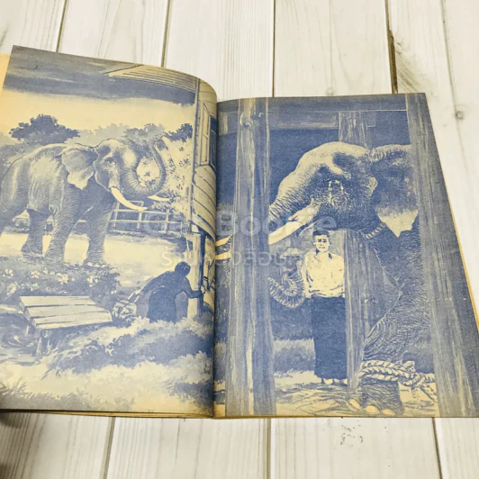 เรื่องของช้างพลายมงคลผู้อาภัพ รูปที่ 10