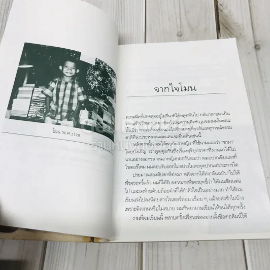 บันทึกของโมน รูปที่ 9
