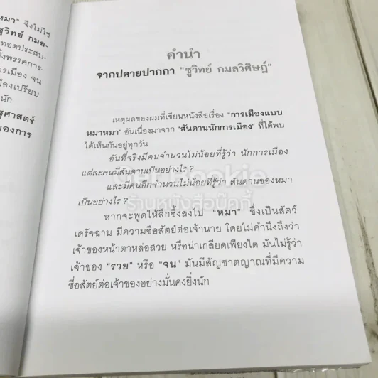 การเมืองแบบหมาๆ รูปที่ 8