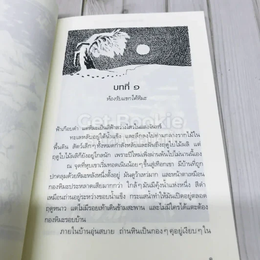 เมืองมูมินกลางฤดูหนาว รูปที่ 10