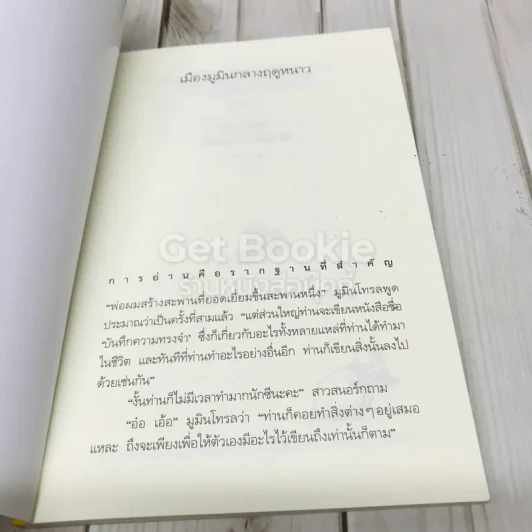 เมืองมูมินกลางฤดูหนาว รูปที่ 4