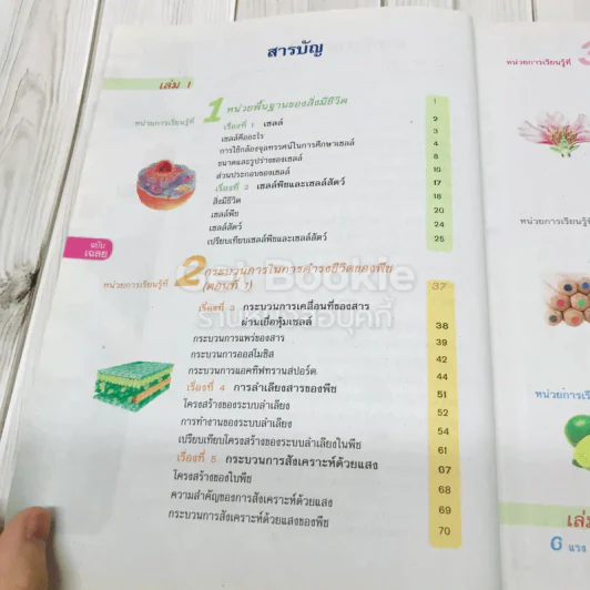 วิทยาศาสตร์ ม.1 เล่ม 1 ฉบับ Key รูปที่ 5