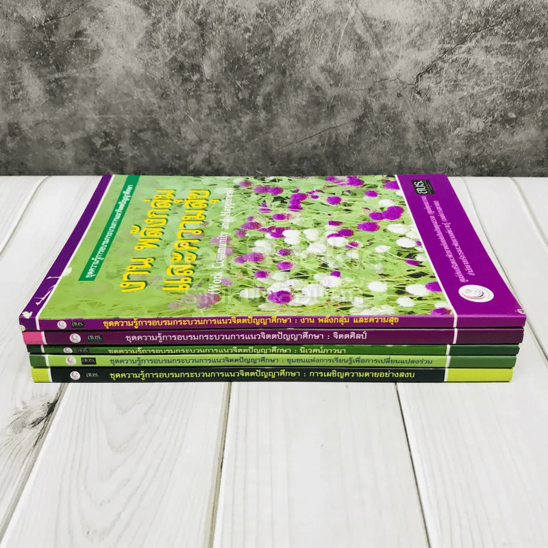 ชุดความรู้การอบรมกระบวนการแนวจิตตปัญญาศึกษา 5 เล่ม รูปที่ 2