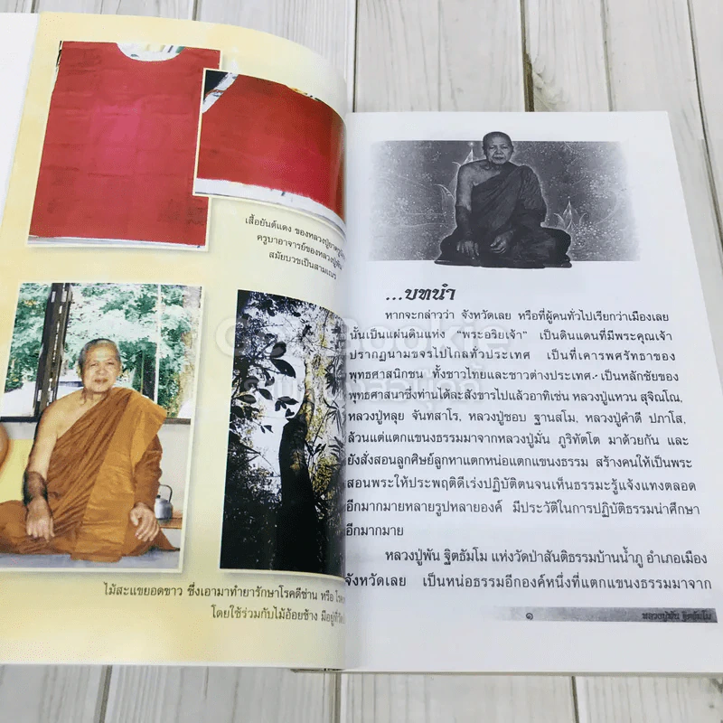 ประวัติ ประสบการณ์ชีวิต ธรรมะ บารมี หลวงปู่พัน ฐิตธัมโม รูปที่ 8