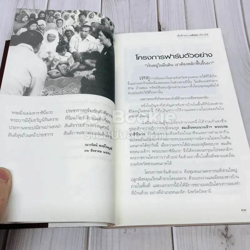 เมื่อฟ้าหม่น เจดีย์หักที่ปักษ์ใต้ รูปที่ 12
