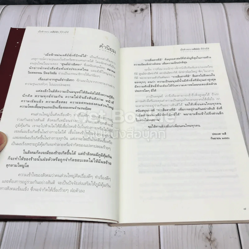 เมื่อฟ้าหม่น เจดีย์หักที่ปักษ์ใต้ รูปที่ 6