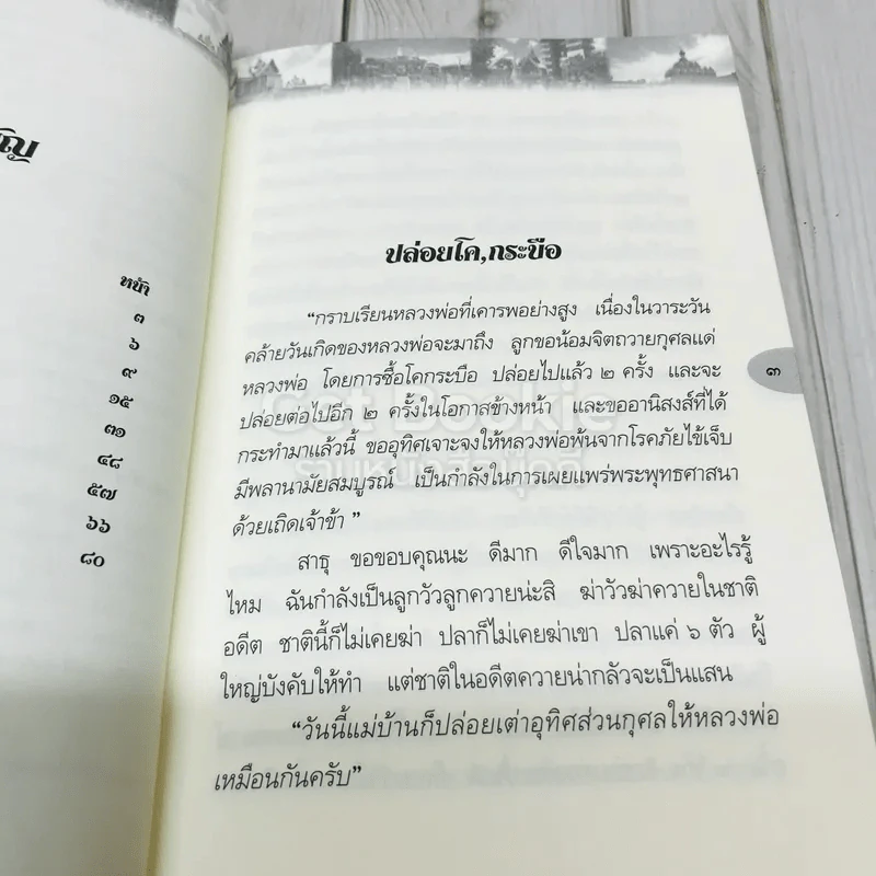 ธรรมปฏิบัติ 28 รูปที่ 6