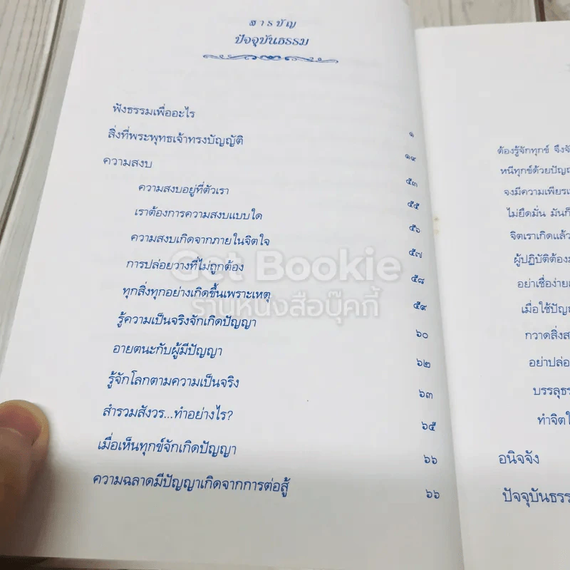 ปัจจุบันธรรม รูปที่ 6
