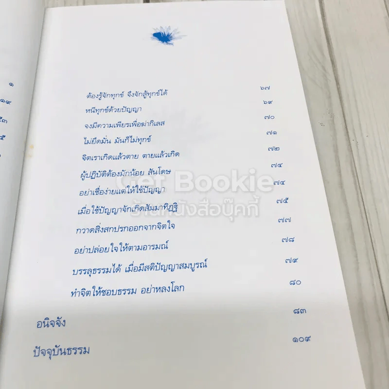 ปัจจุบันธรรม รูปที่ 7