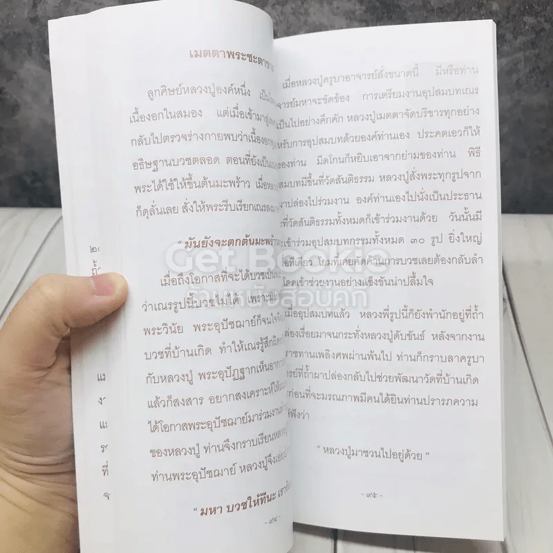 ละอองธรรม รูปที่ 10