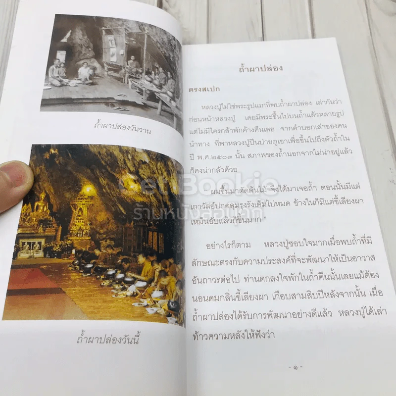 ละอองธรรม รูปที่ 8