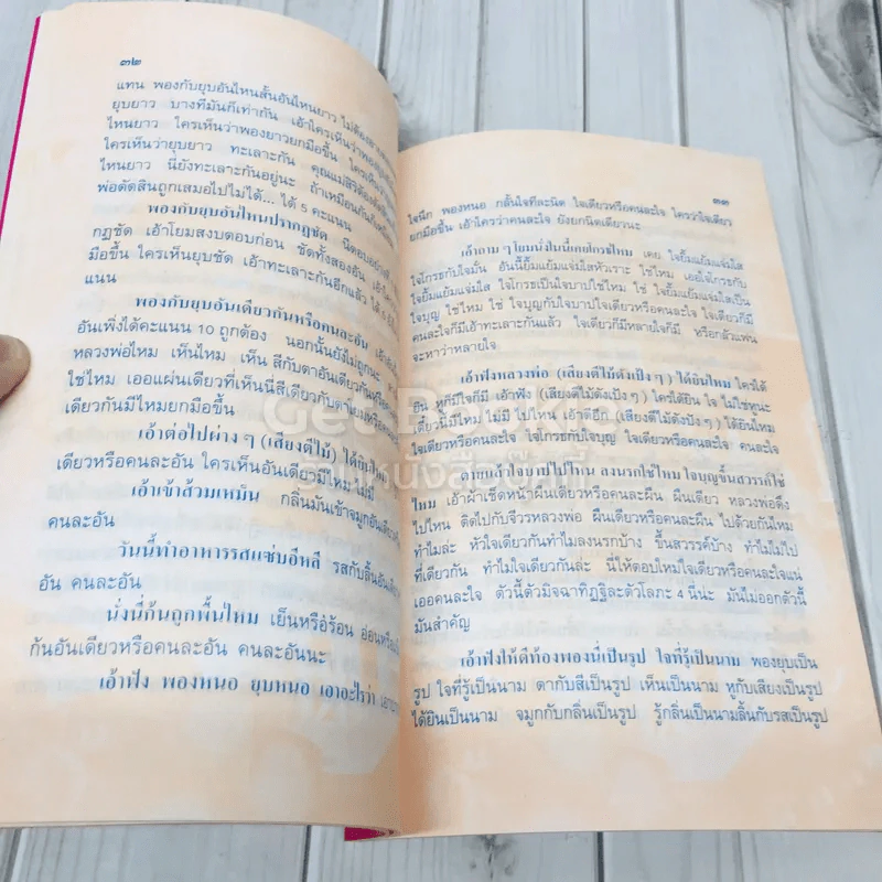 ลำดับโสฬสญาณ รูปที่ 8