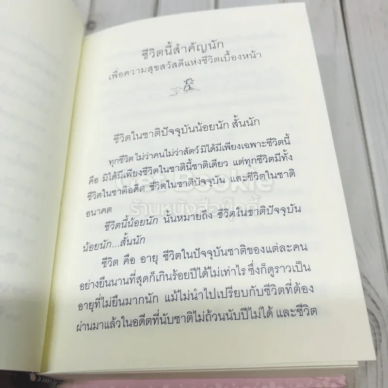 ชีวิตนี้สำคัญนัก รูปที่ 10