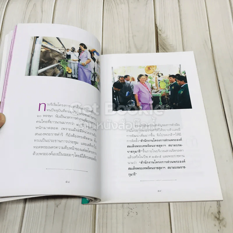 เจ้าหญิงในดวงใจประชาชน รูปที่ 10