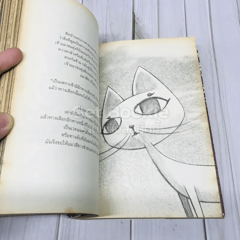 Nine Lives รูปที่ 10