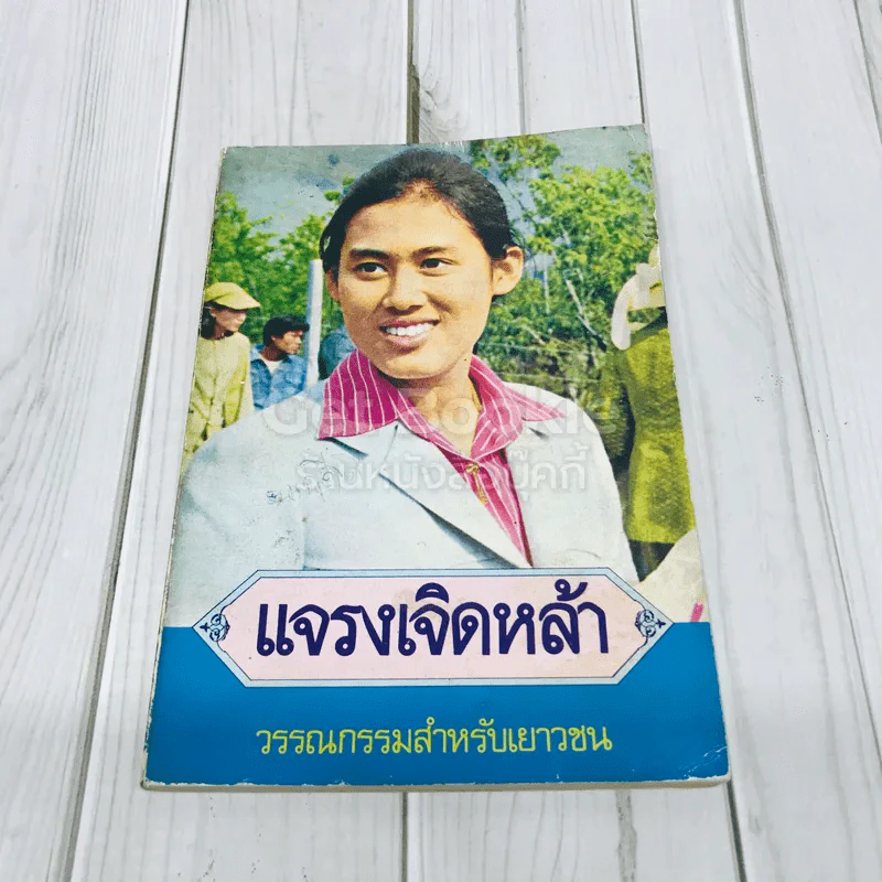 แจรงเจิดหล้า รูปที่ 1