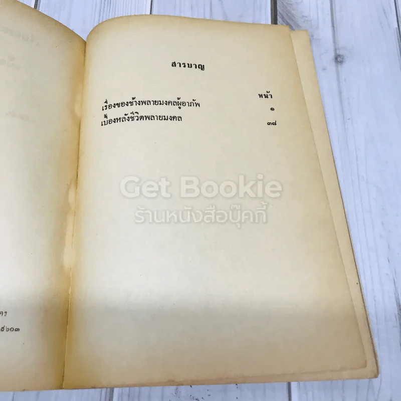 เรื่องของช้างพลายมงคลผู้อาภัพ รูปที่ 6