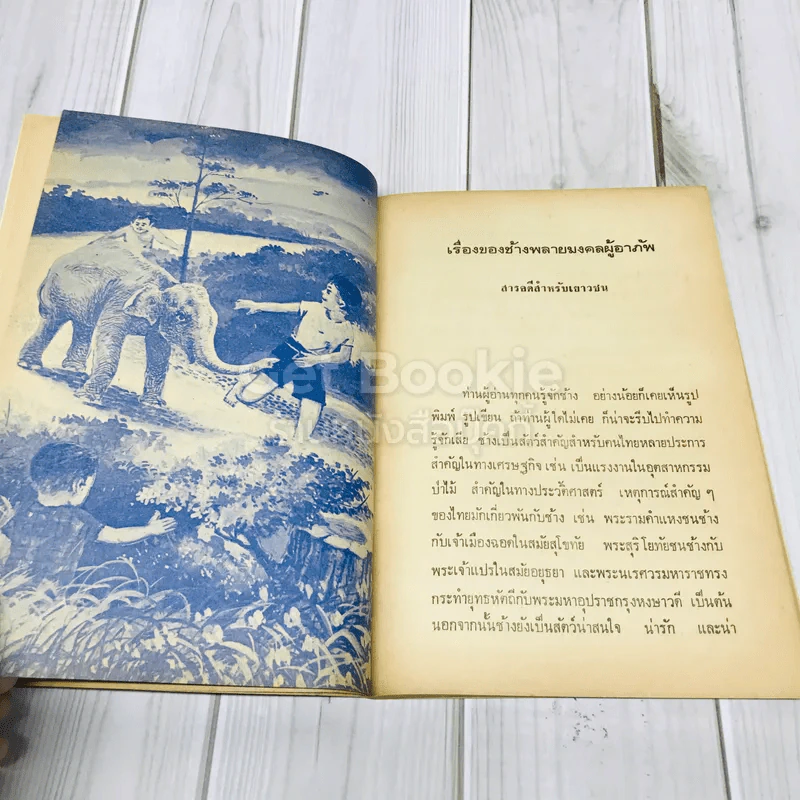 เรื่องของช้างพลายมงคลผู้อาภัพ รูปที่ 11