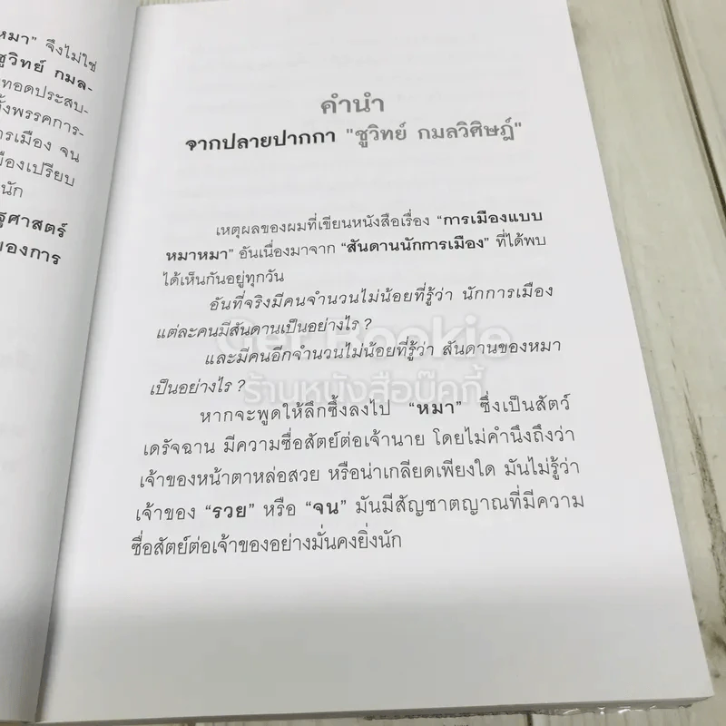 การเมืองแบบหมาๆ รูปที่ 8