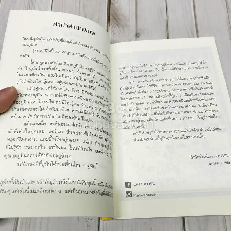เมืองมูมินกลางฤดูหนาว รูปที่ 8
